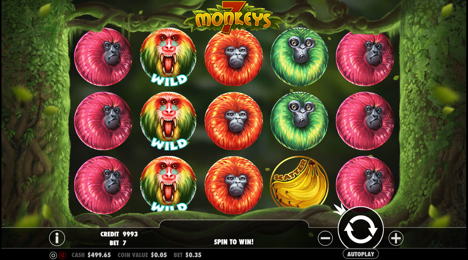 7 Monkeys - Base game 1