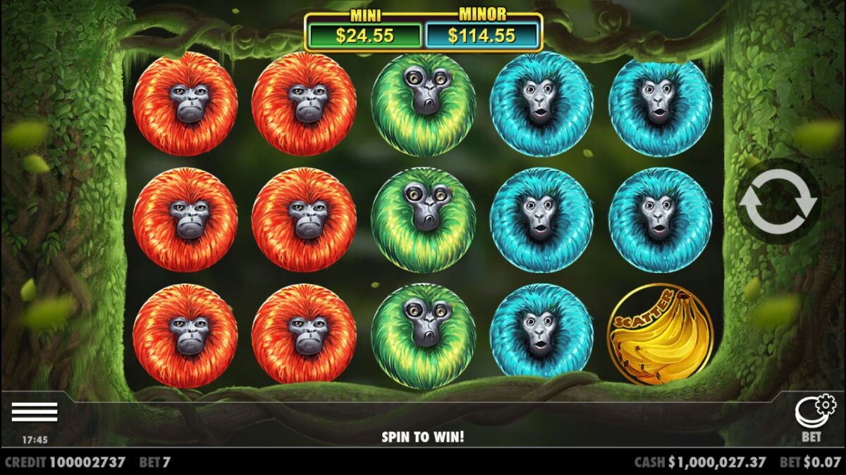 7 Monkeys - Base game 3