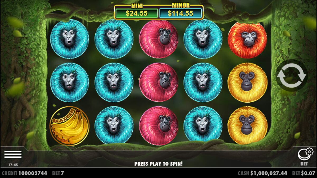 7 Monkeys - Base game 4