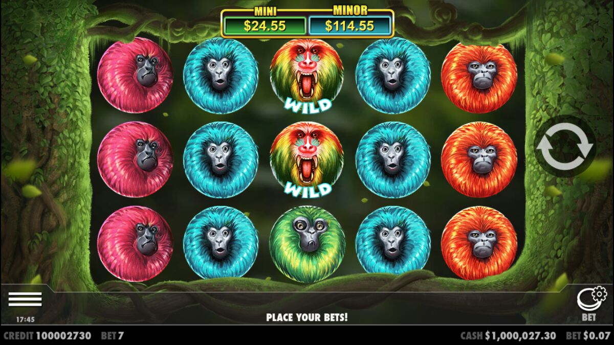 7 Monkeys - Base game 5