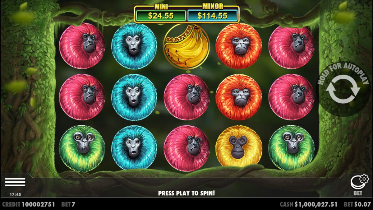 7 Monkeys - Base game 6