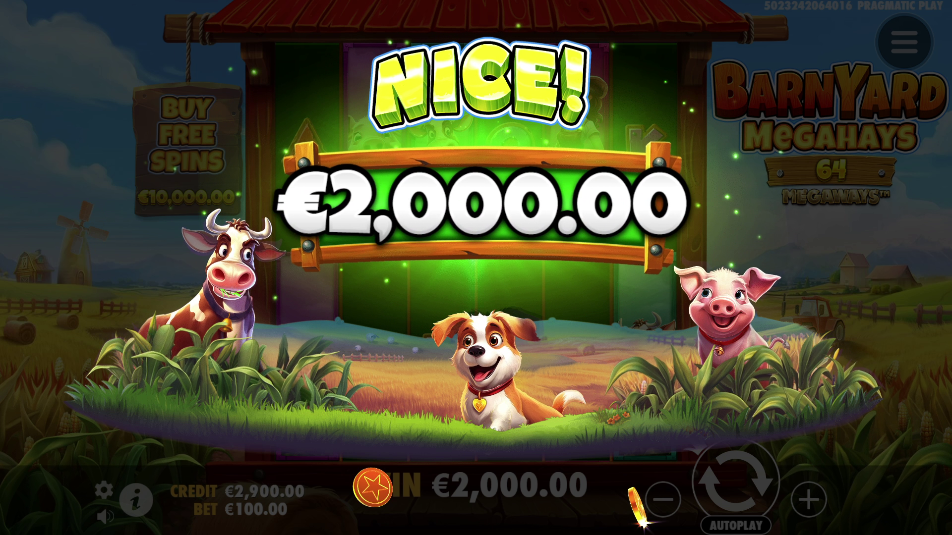 Barnyard Megahays Megaways - Big win 2