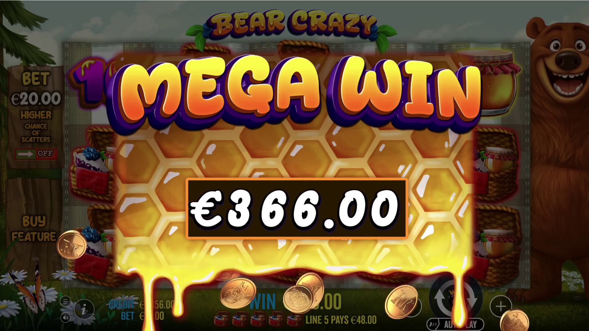Bear Crazy - Big win 2