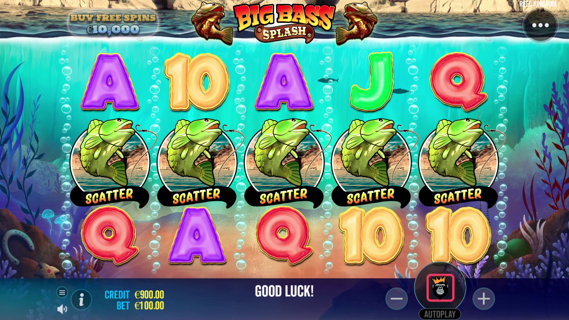 Big Bass Splash - Base game 1