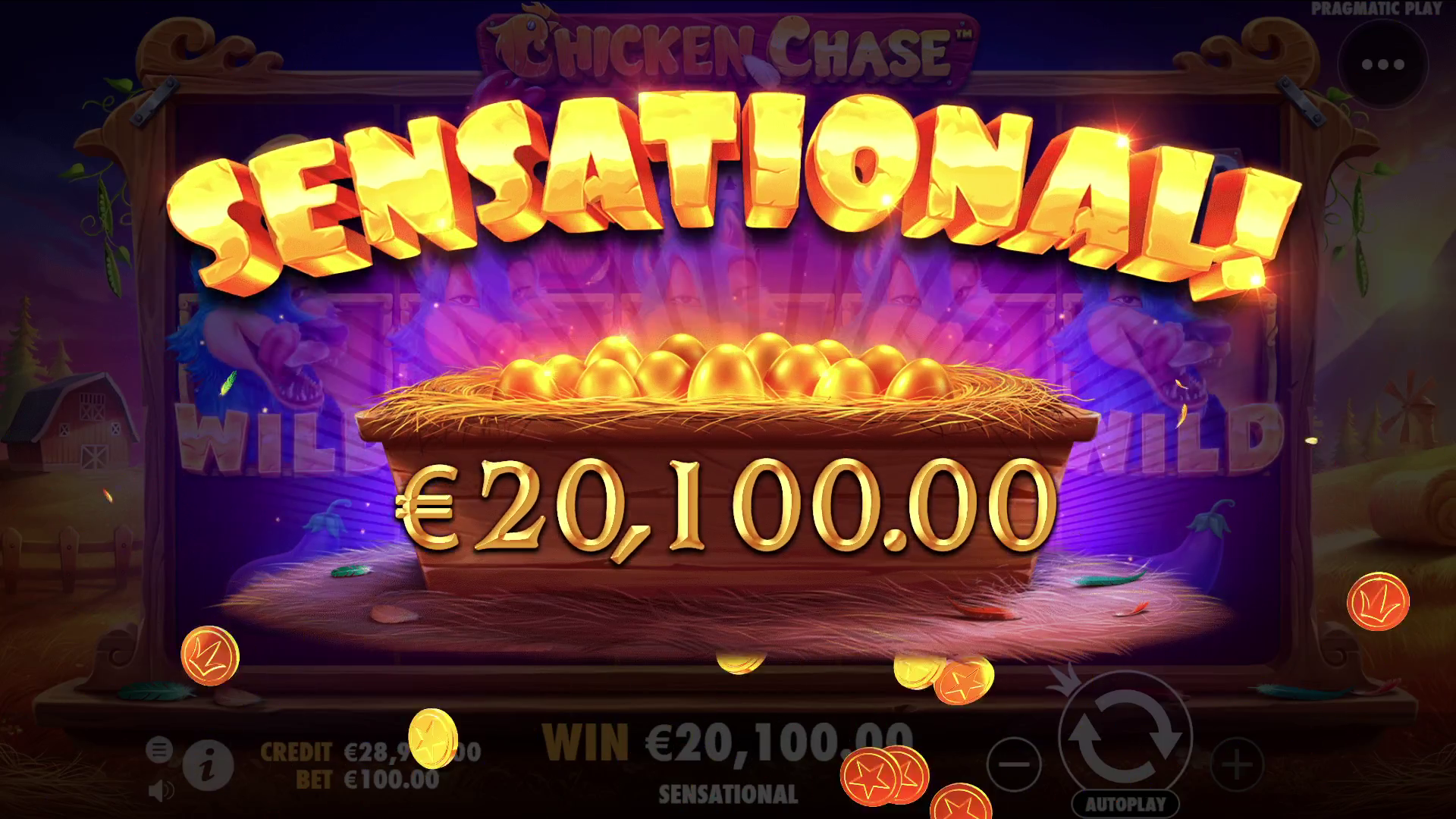 Chicken Chase - Big win 1