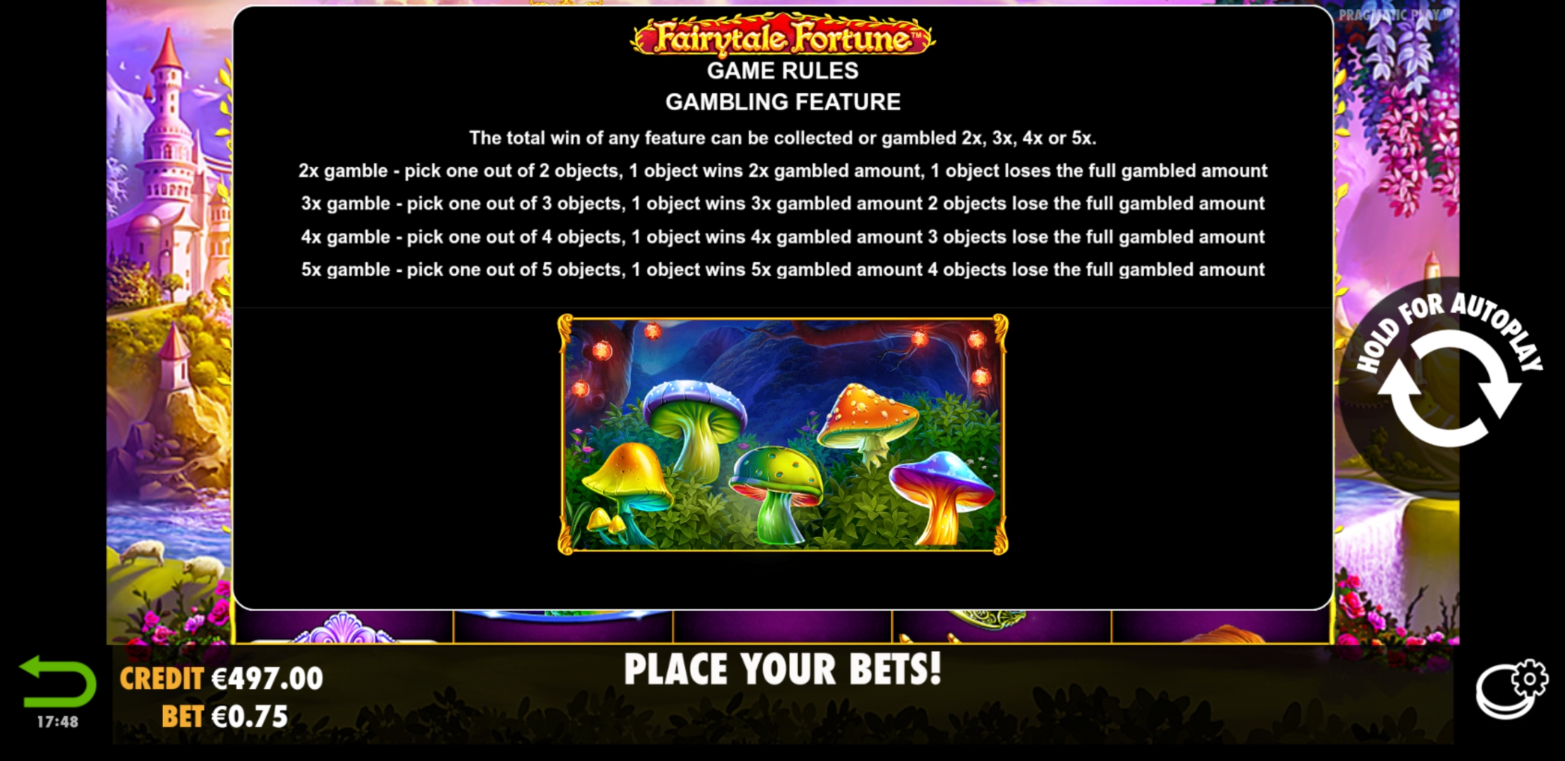 Fairytale Fortune - Game rules 10