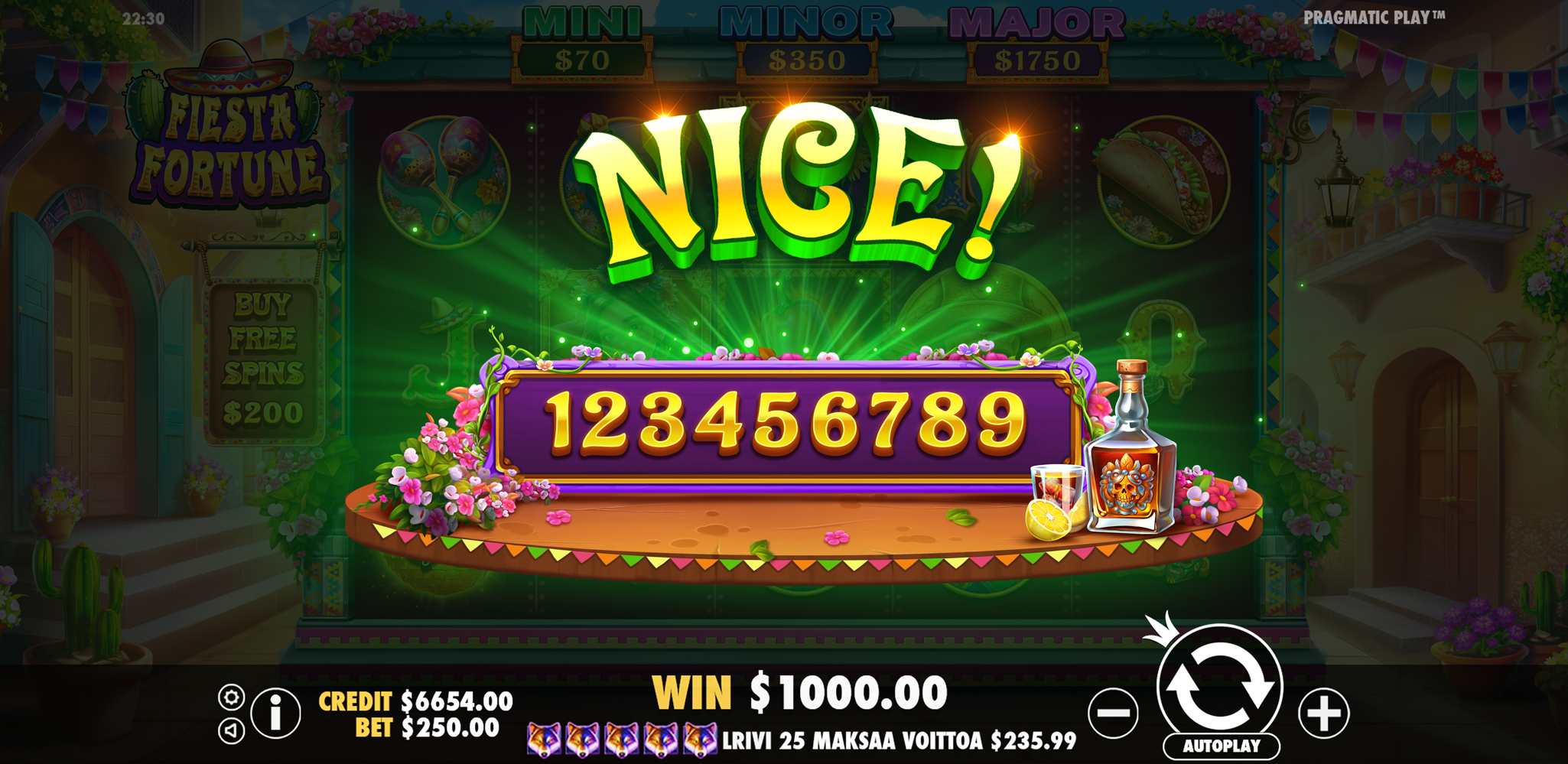 Fiesta Fortune - Big win 4