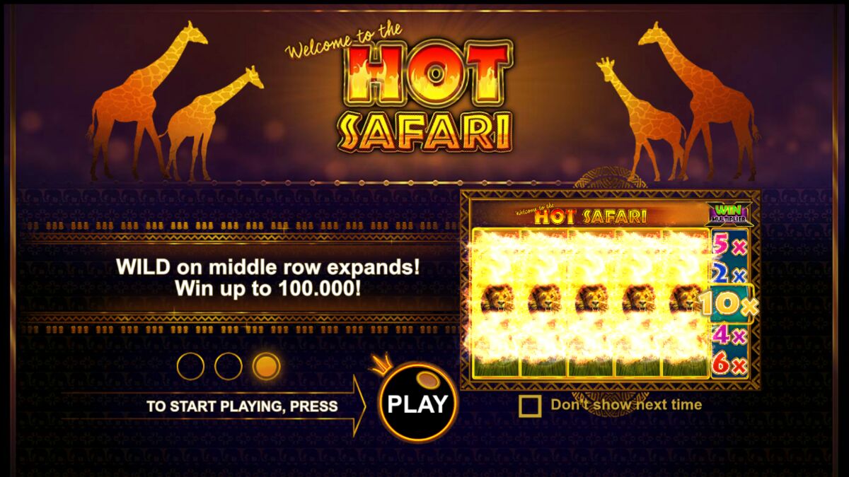 Hot Safari - Base game 7