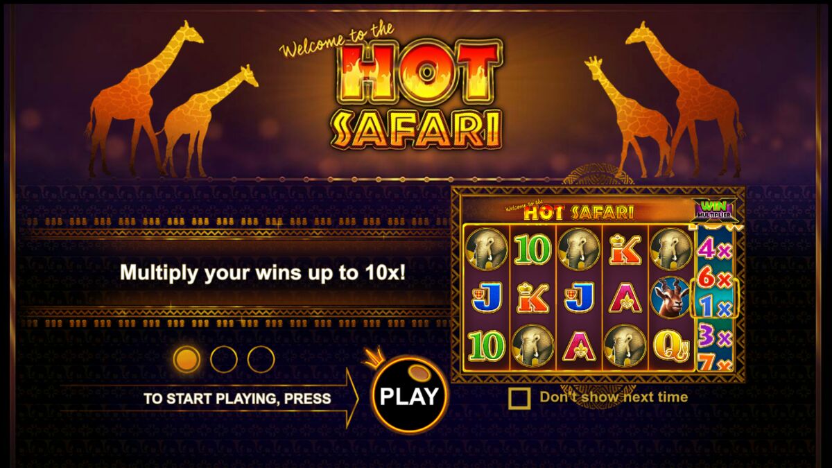 Hot Safari - Base game 9