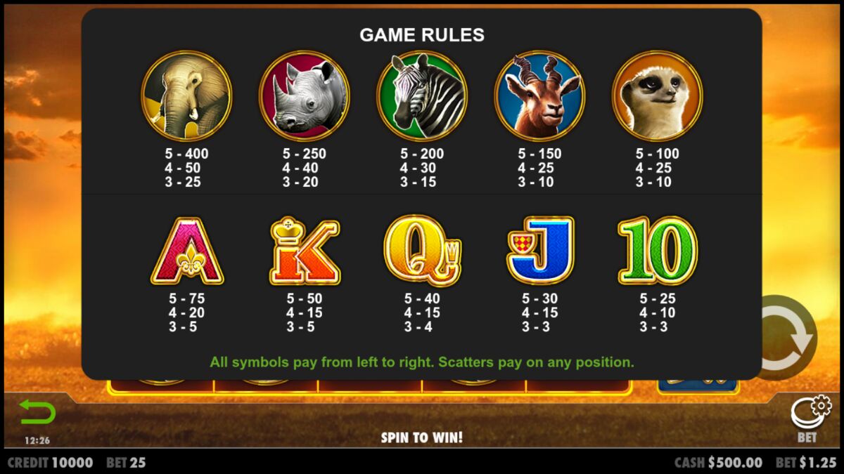 Hot Safari - Game rules 4