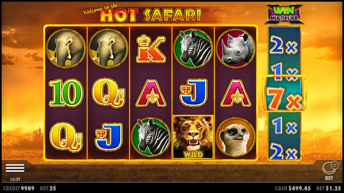 Hot Safari - Base game 11