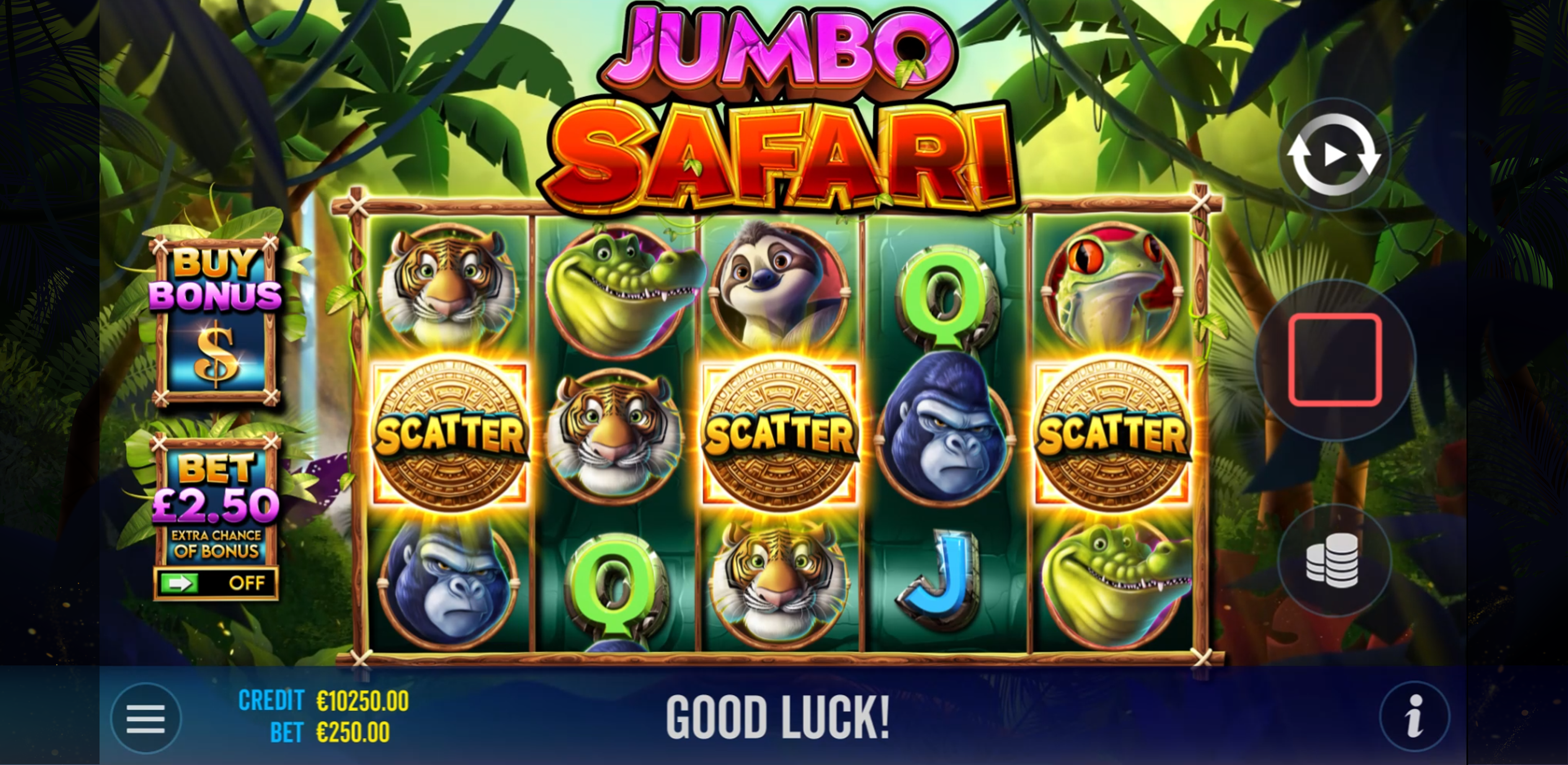 Jumbo Safari - Base game