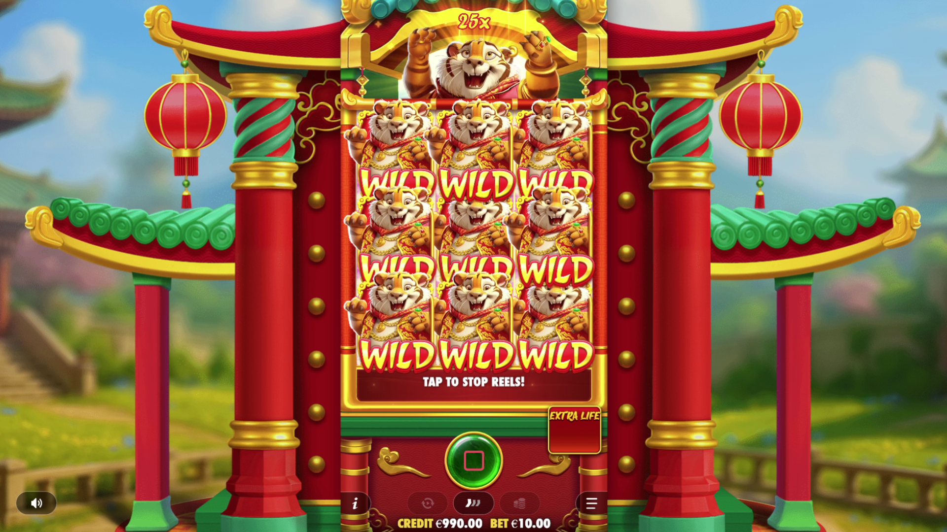 Lucky Tiger Gold - Big win 6
