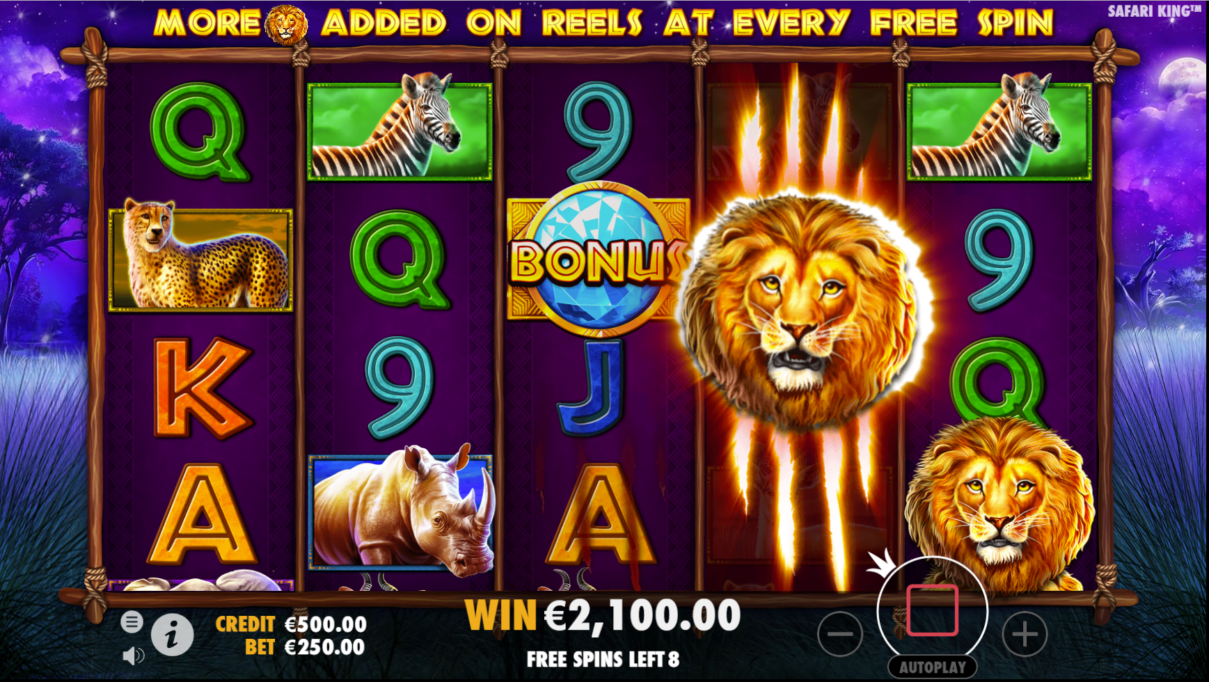 Safari King - Free spins 1