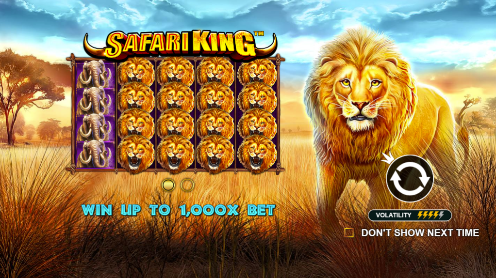 Safari King - Big win