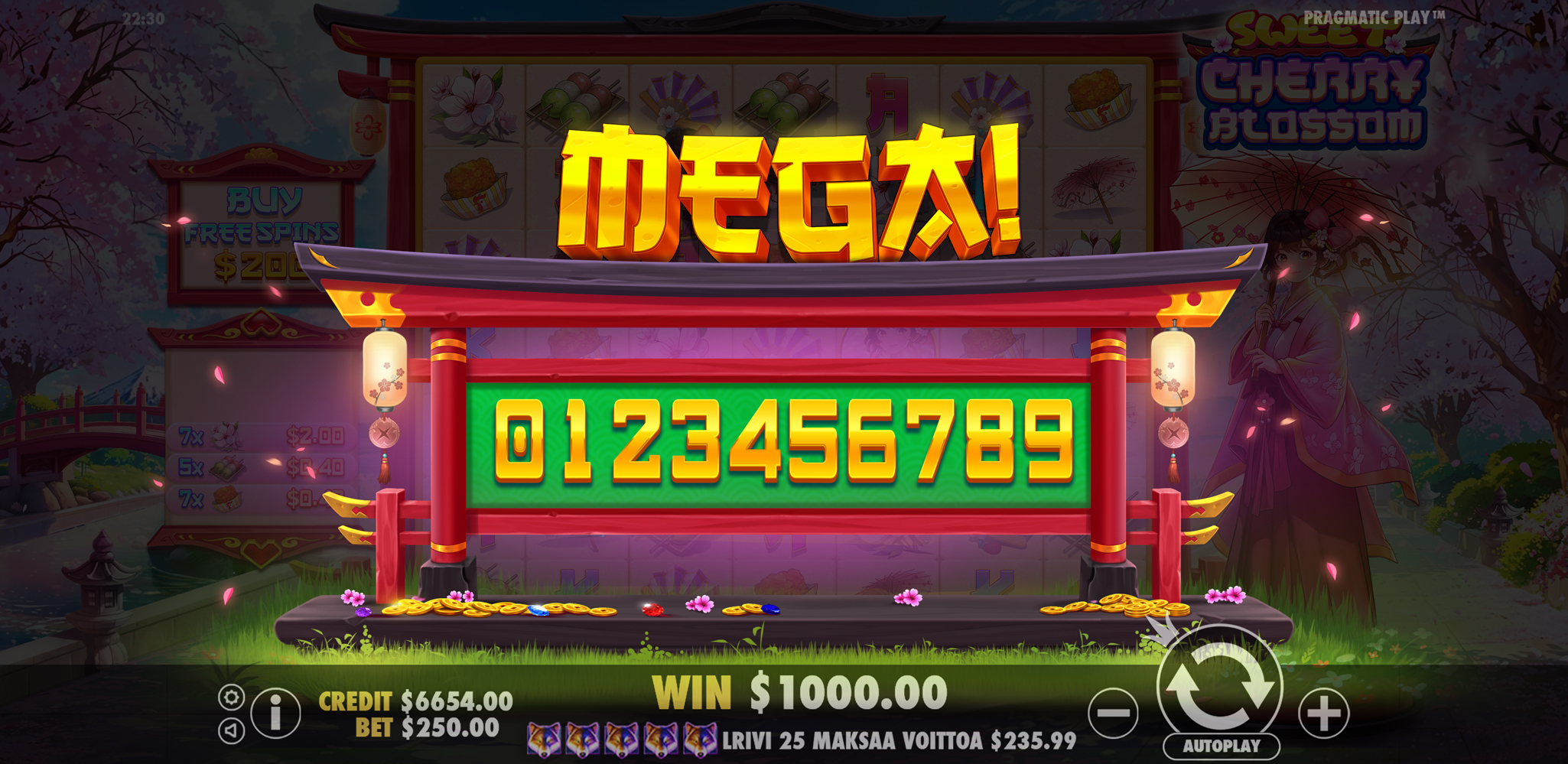 Sweet Cherry Blossom - Big win 1