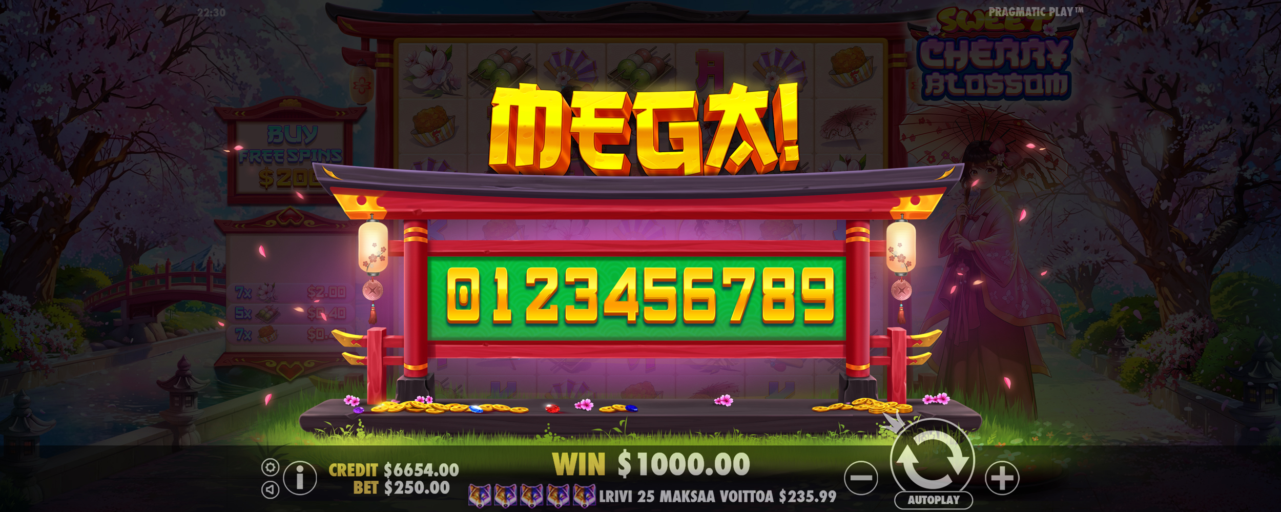 Sweet Cherry Blossom - Big win 2