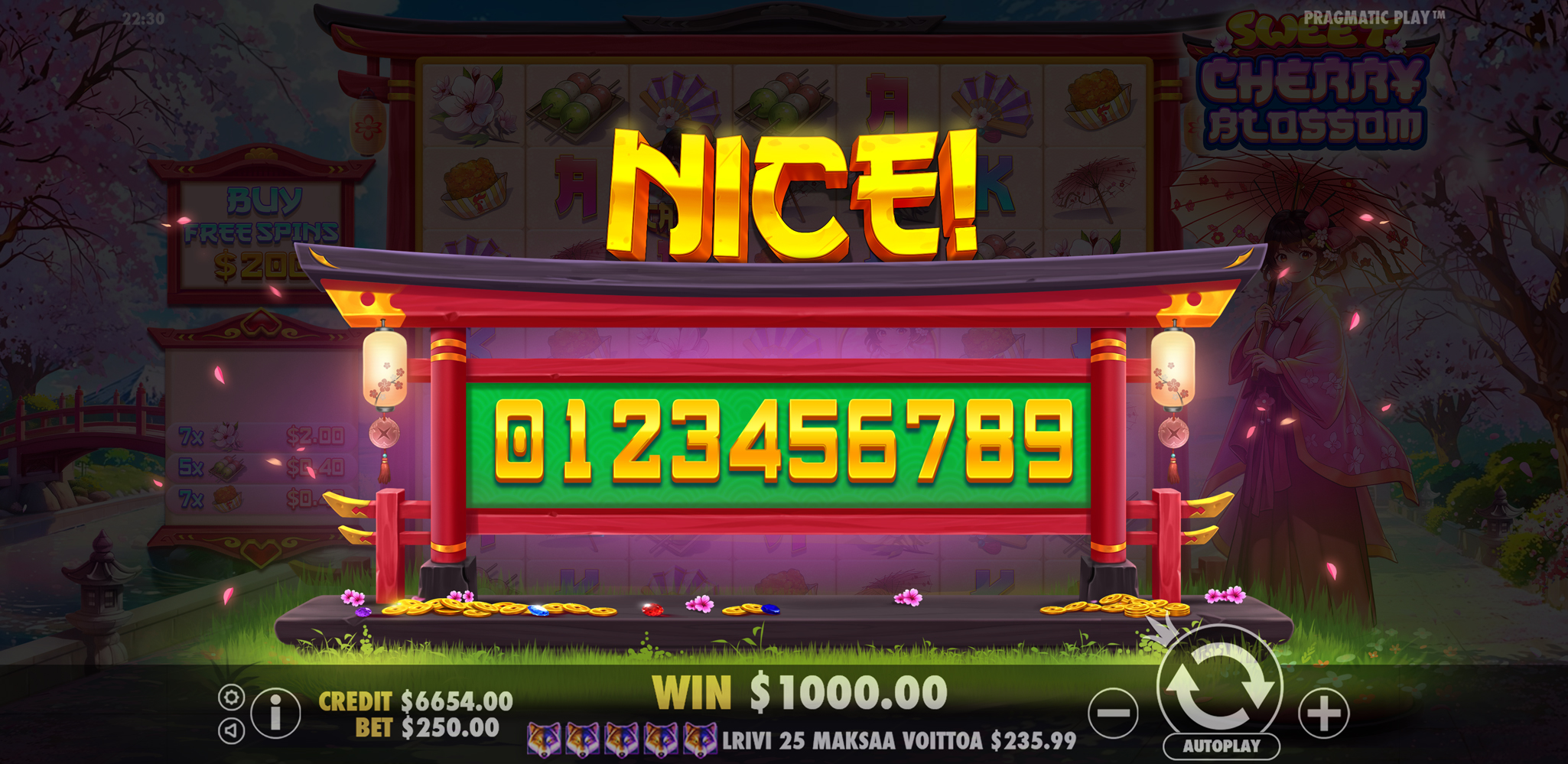 Sweet Cherry Blossom - Big win 3