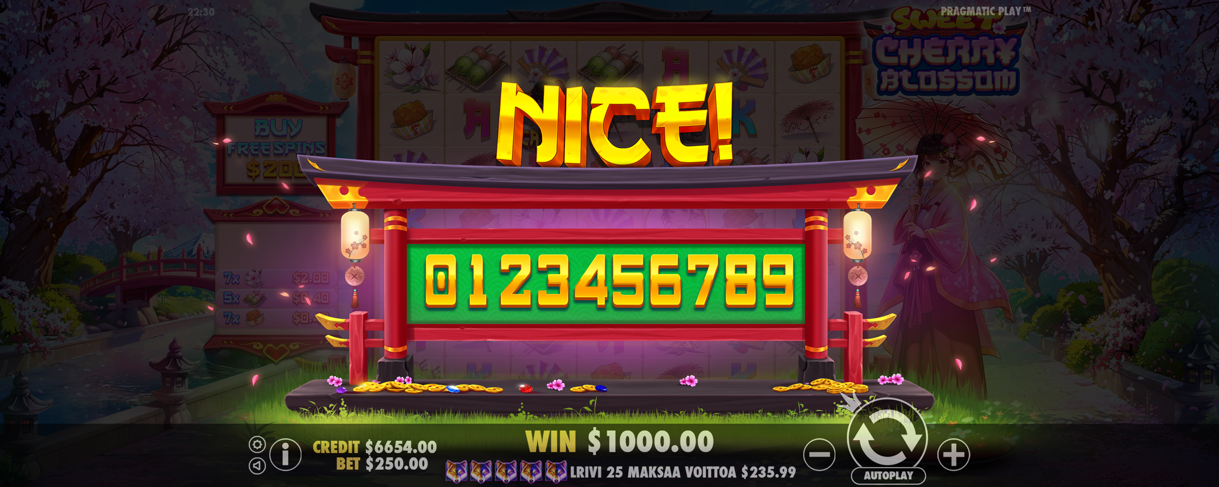 Sweet Cherry Blossom - Big win 4