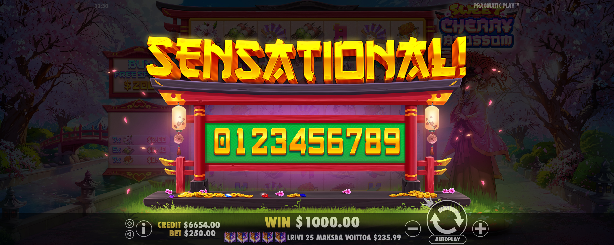 Sweet Cherry Blossom - Big win 6
