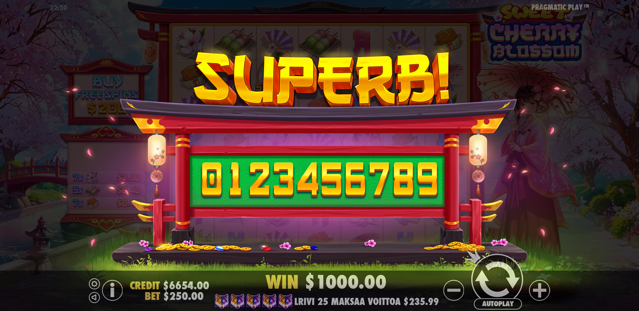 Sweet Cherry Blossom - Big win 7