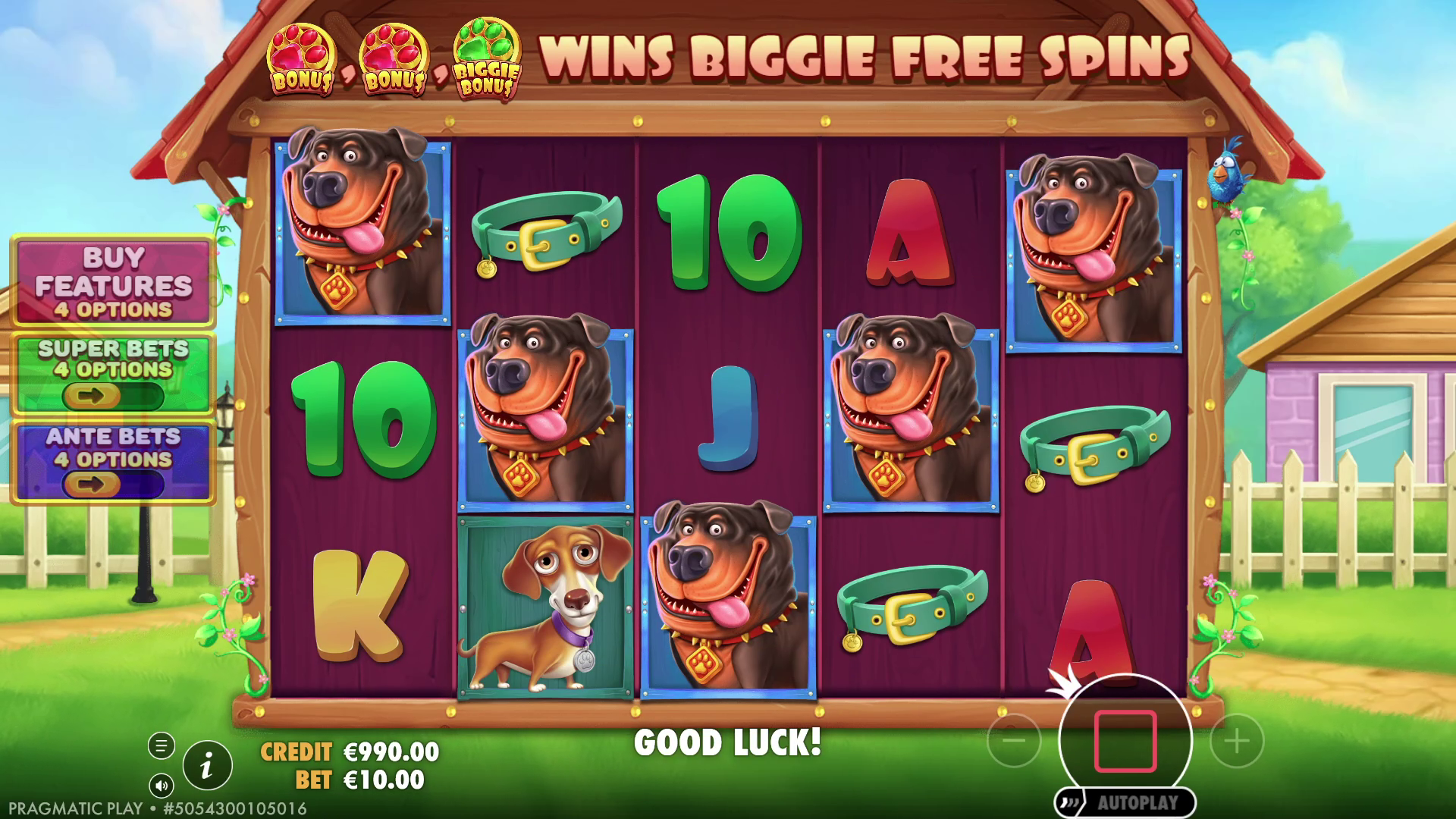 The Big Dog House - Free spins 1