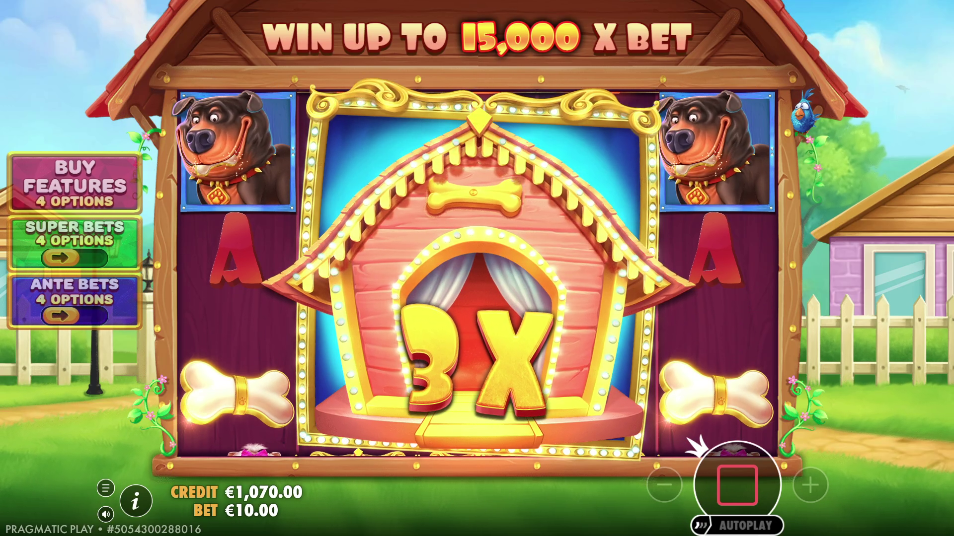 The Big Dog House - Base game 2