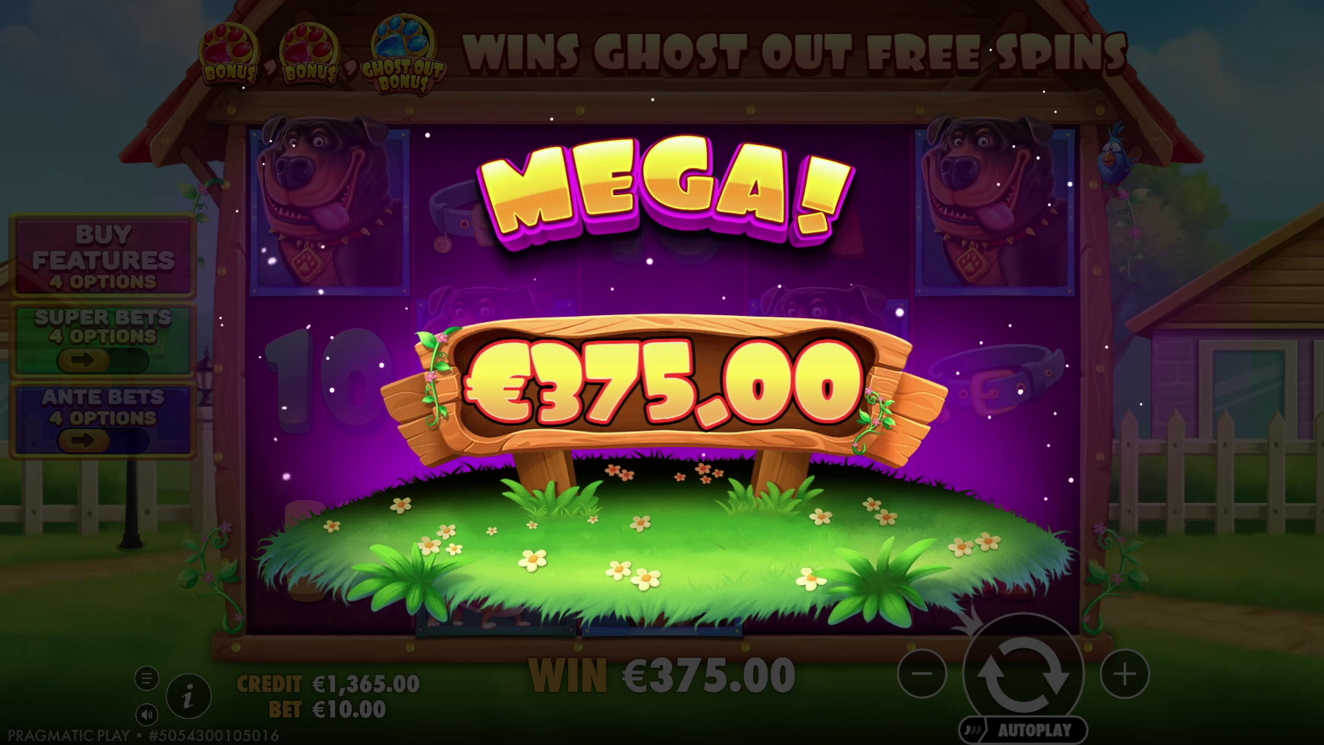 The Big Dog House - Big win 1