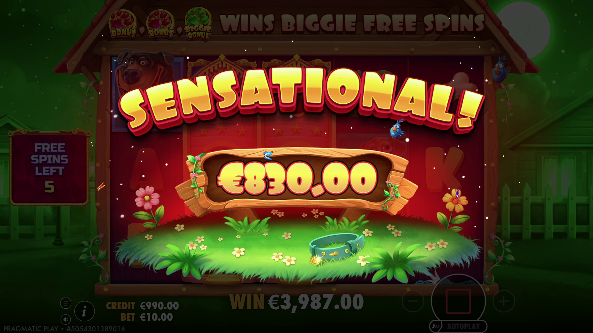 The Big Dog House - Big win 3