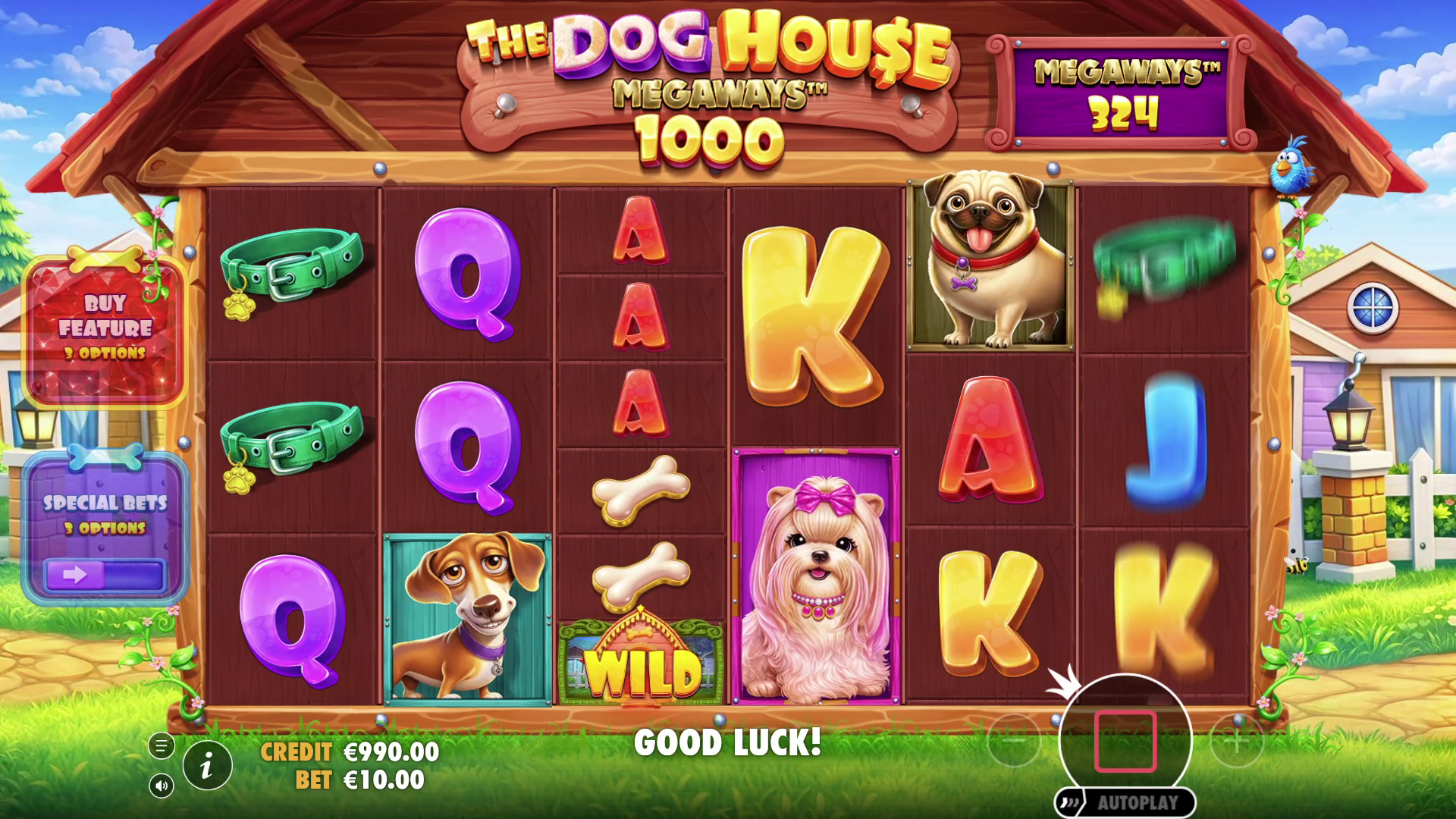 The Dog House Megaways 1000 - Base game 1