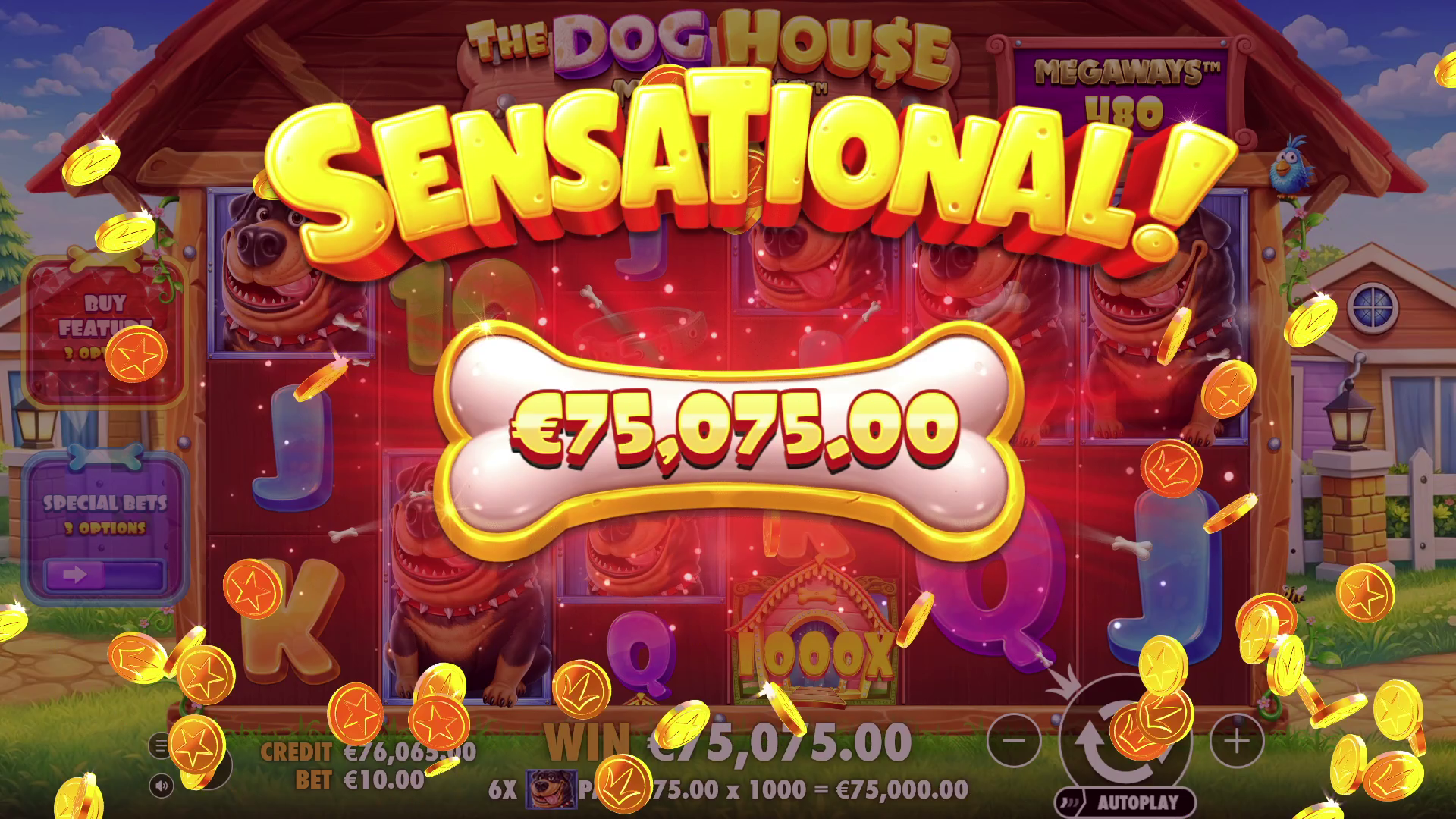 The Dog House Megaways 1000 - Big win 2