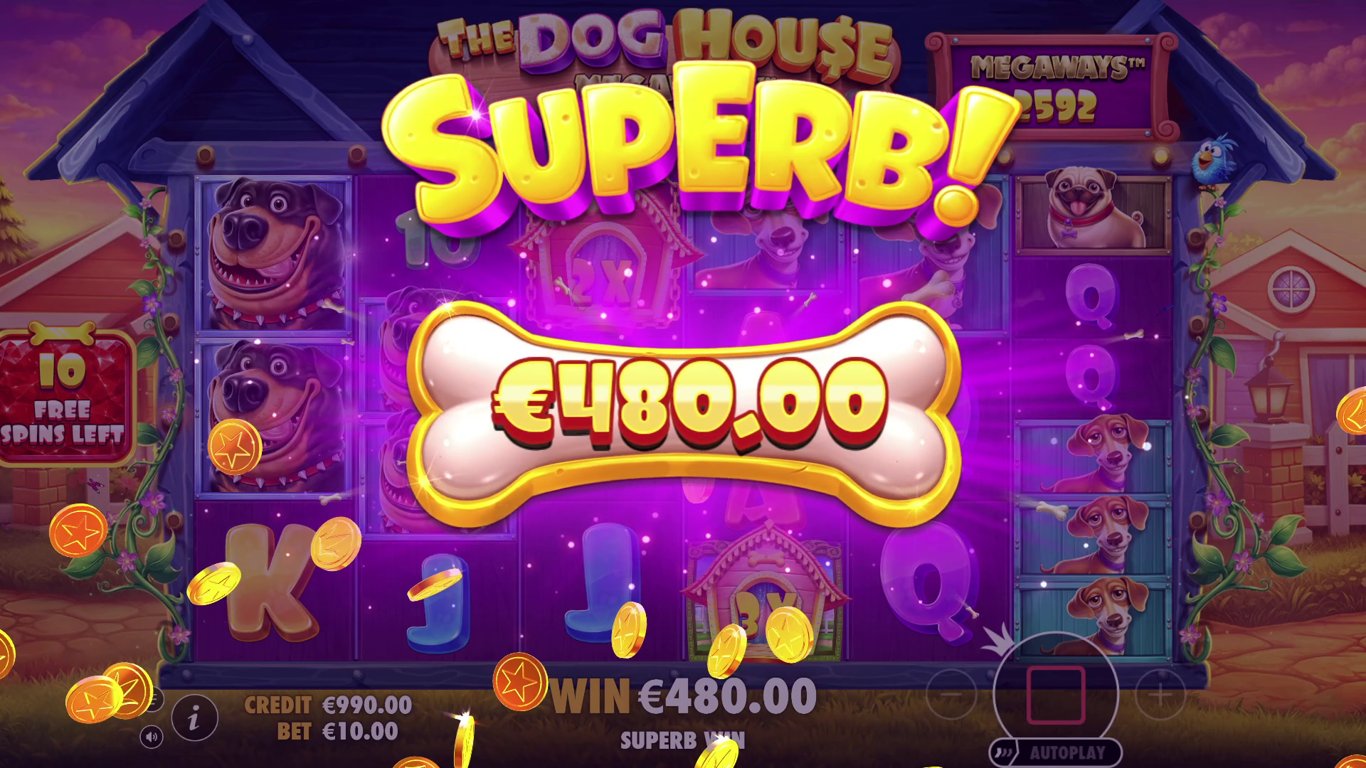 The Dog House Megaways 1000 - Big win 3