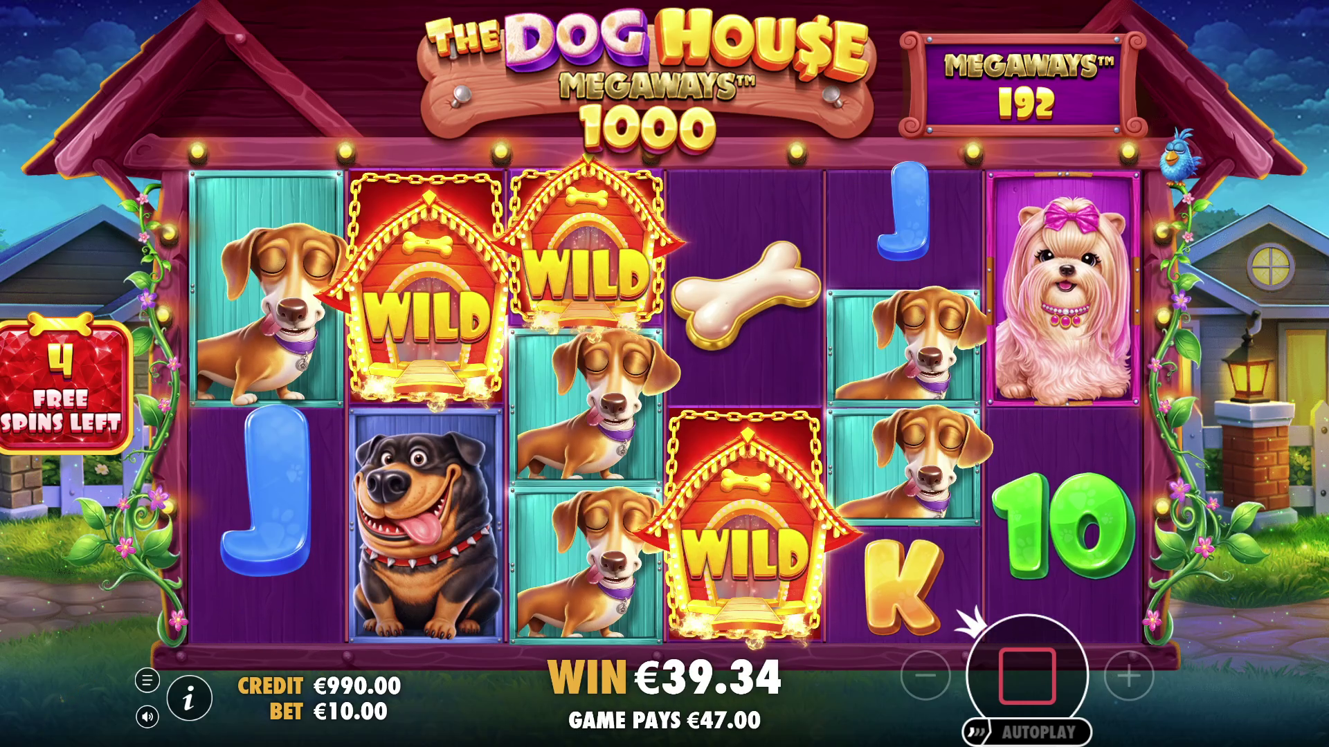 The Dog House Megaways 1000 - Base game 4