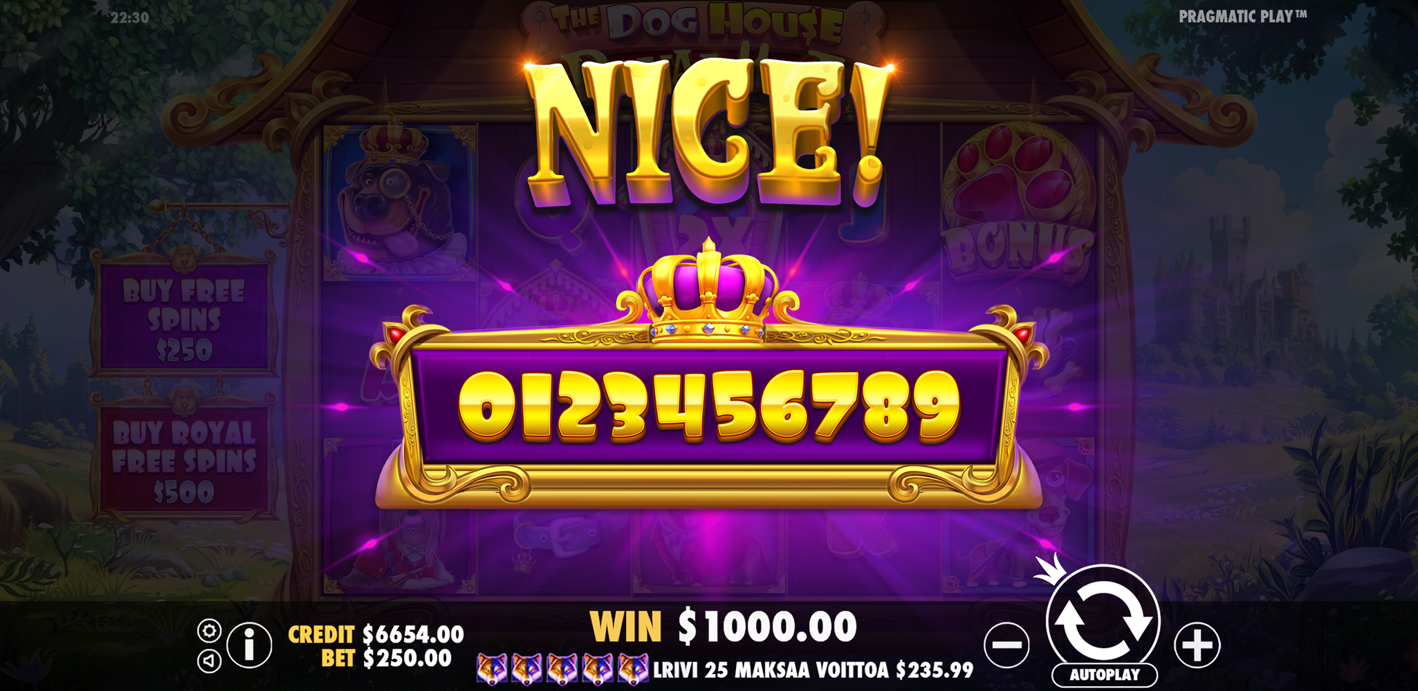 The Dog House - Royal Hunt - Big win 3