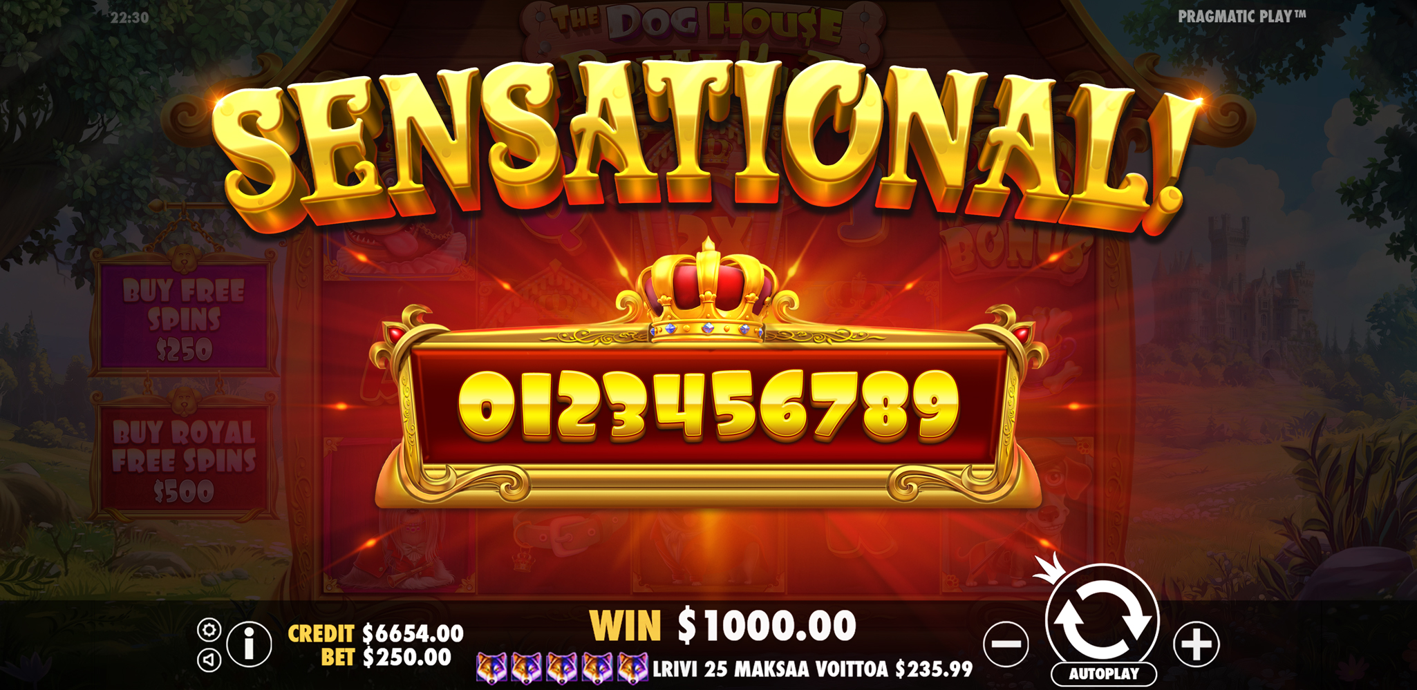 The Dog House - Royal Hunt - Big win 5