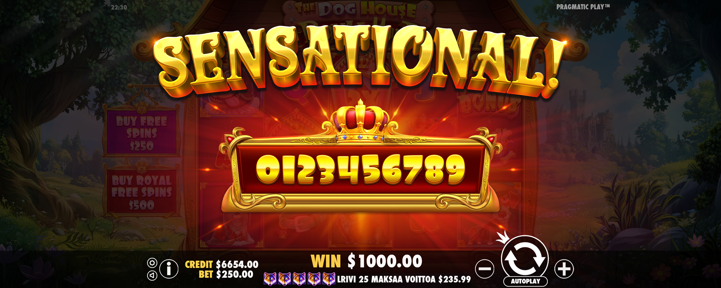 The Dog House - Royal Hunt - Big win 6
