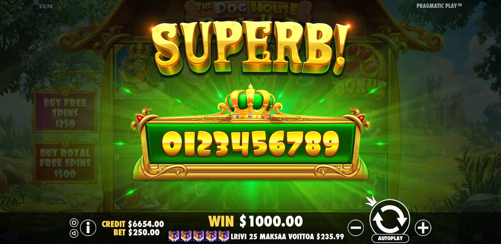 The Dog House - Royal Hunt - Big win 7