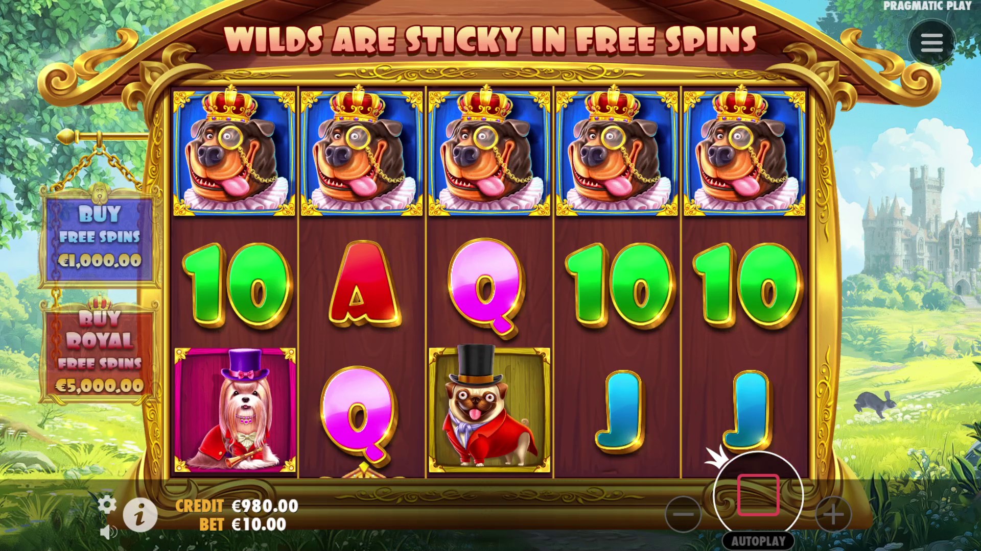 The Dog House - Royal Hunt - Free spins 7