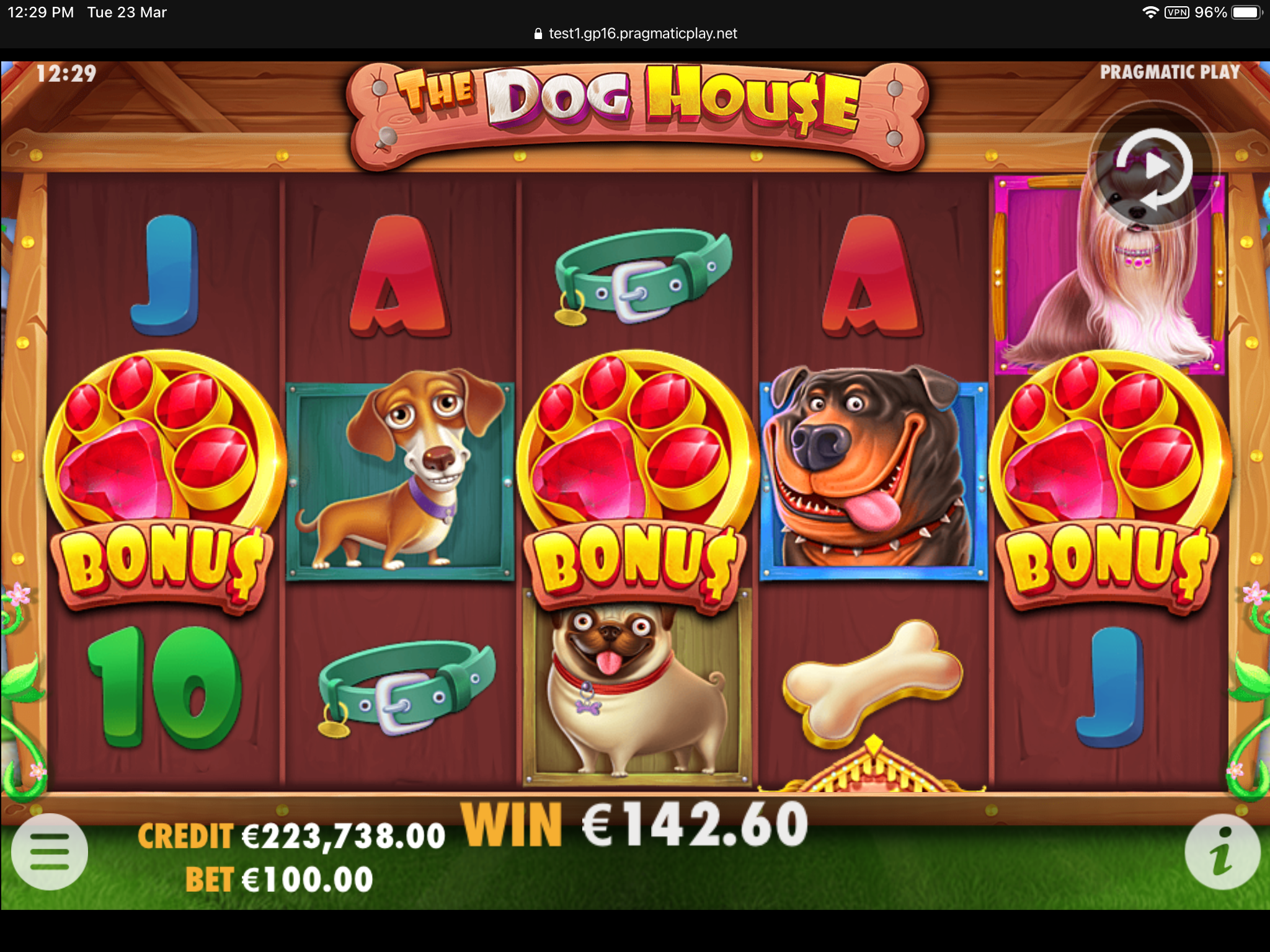 The Dog House - Big win 1