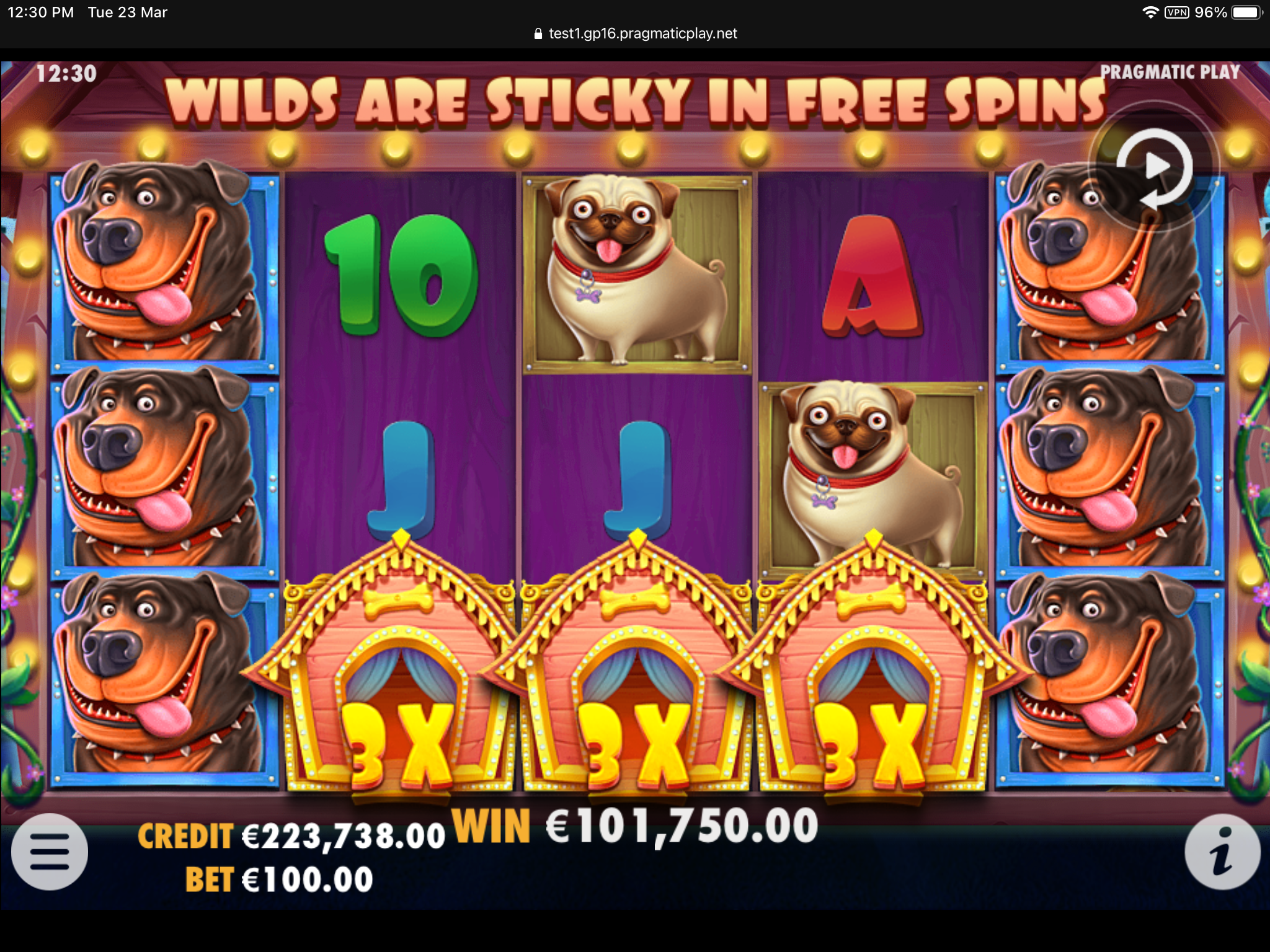 The Dog House - Free spins 6