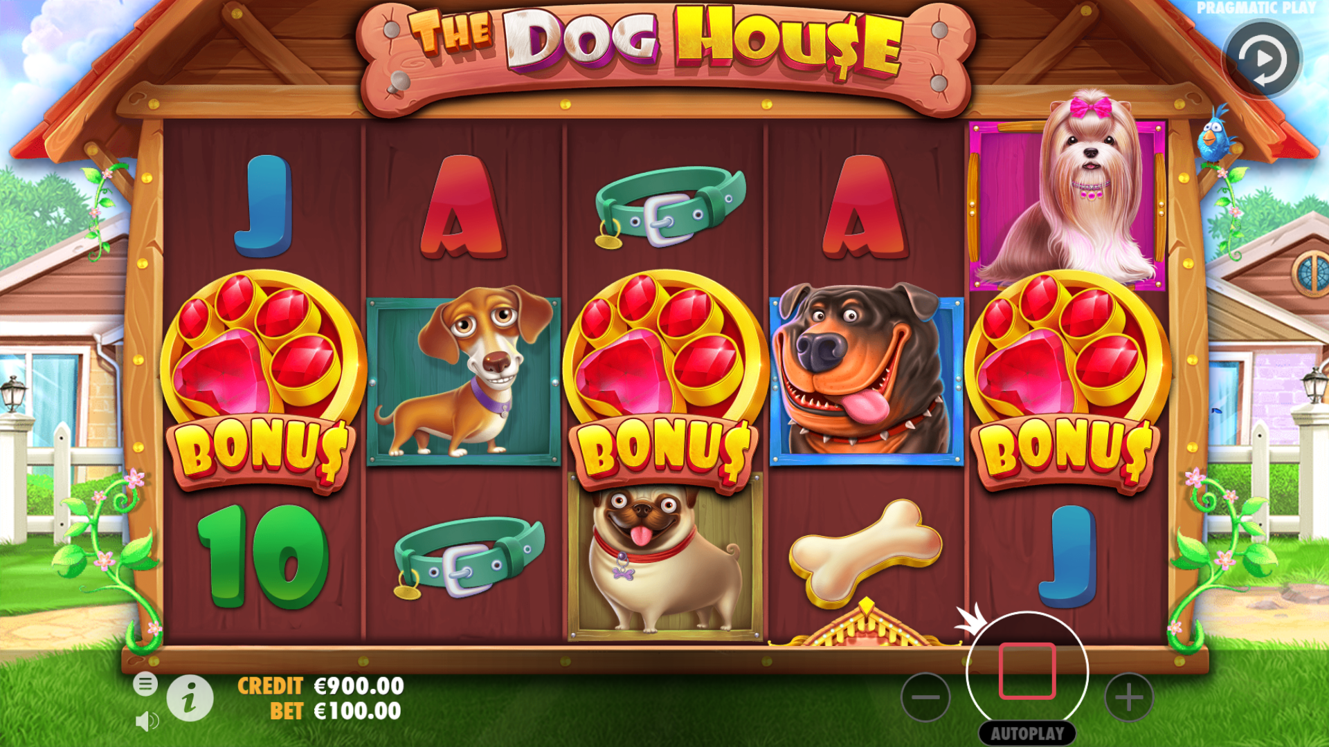 The Dog House - Base game 2