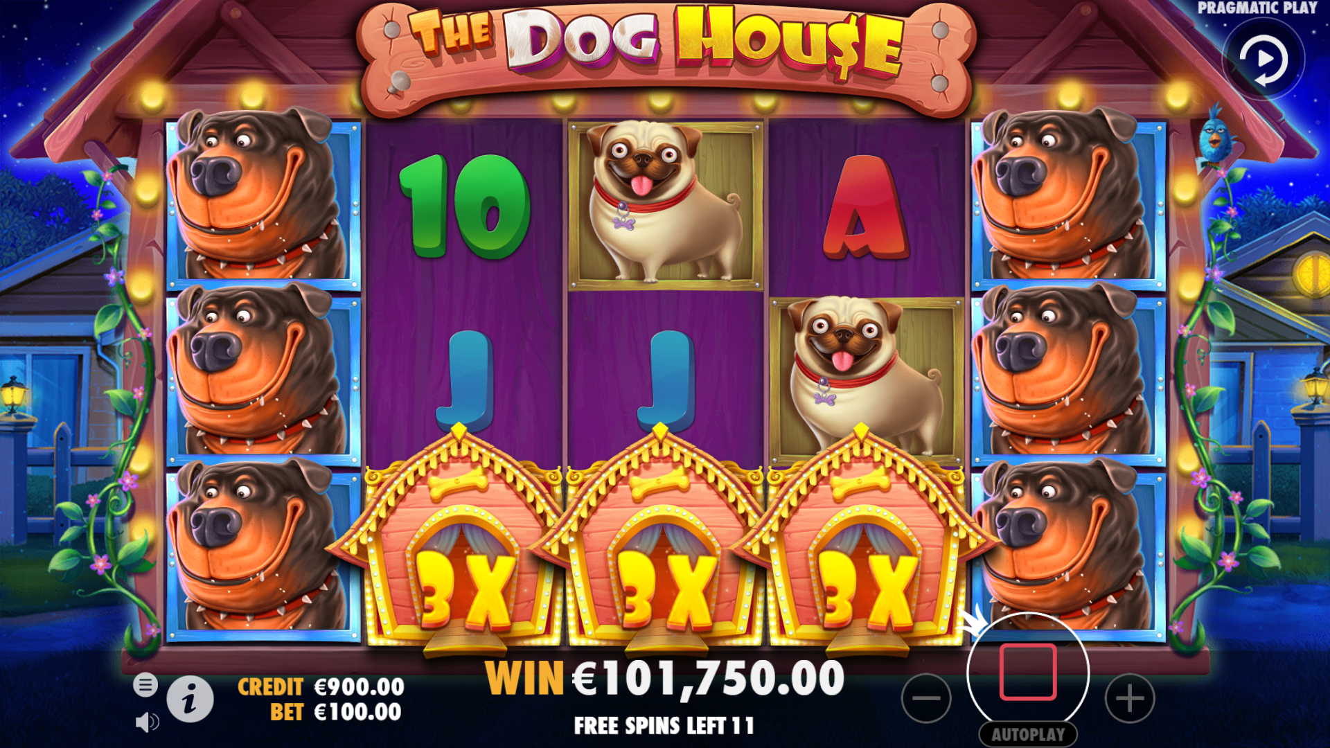 The Dog House - Big win 6