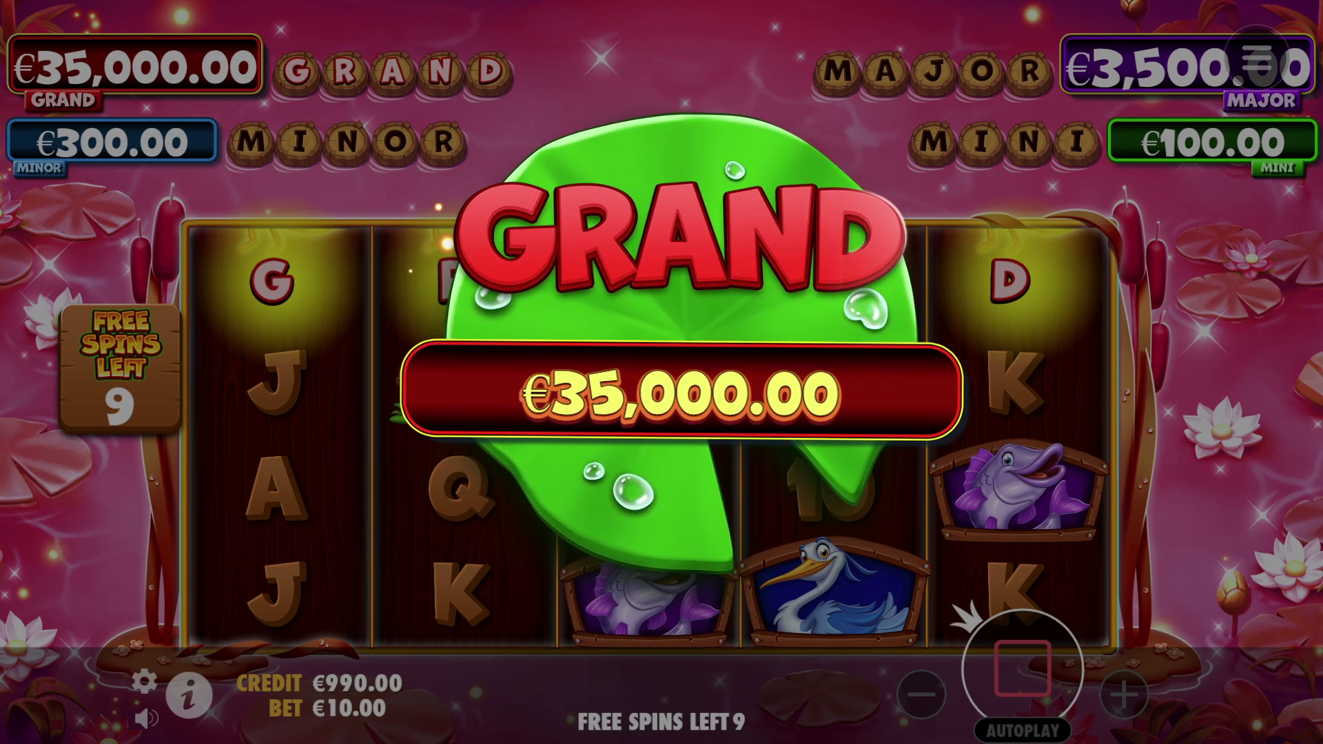 Tiny Toads - Big win 6