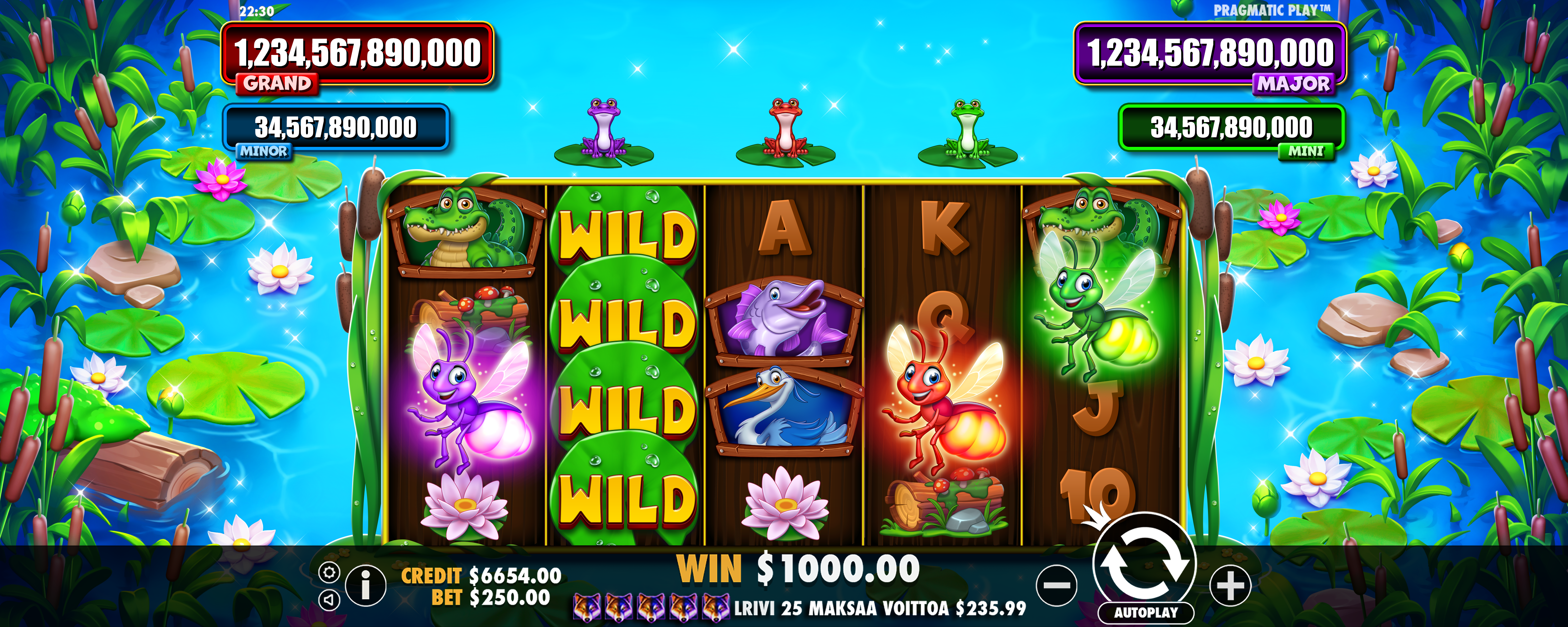 Tiny Toads - Big win 7