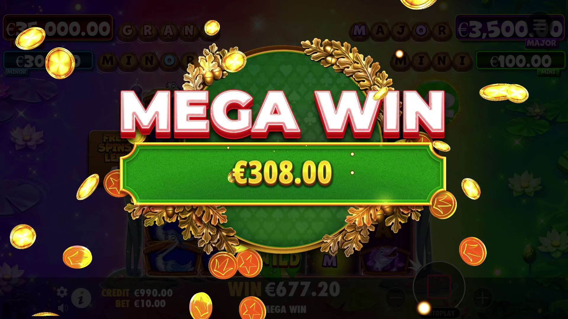 Tiny Toads - Big win 10