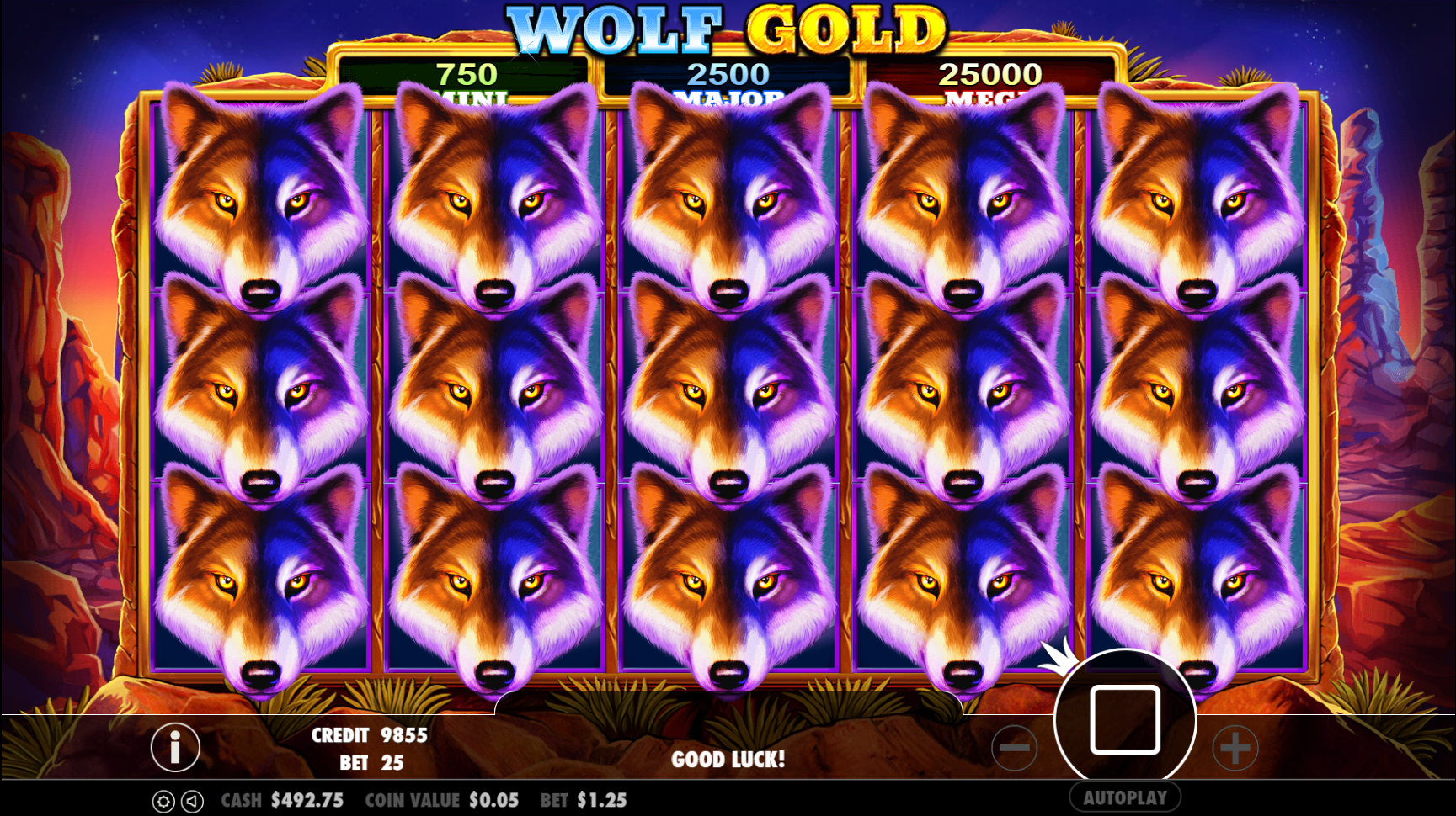 Wolf Gold - Big win 1