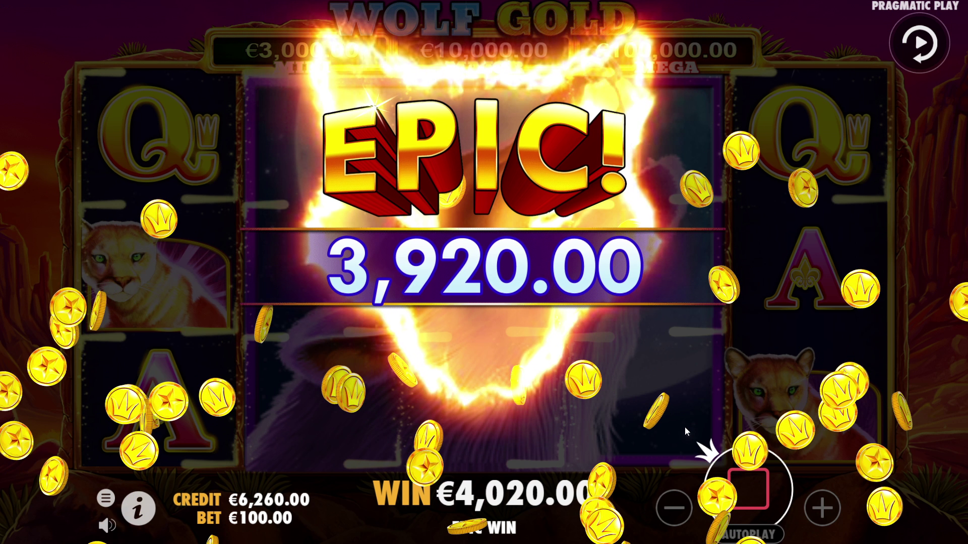 Wolf Gold - Big win 2