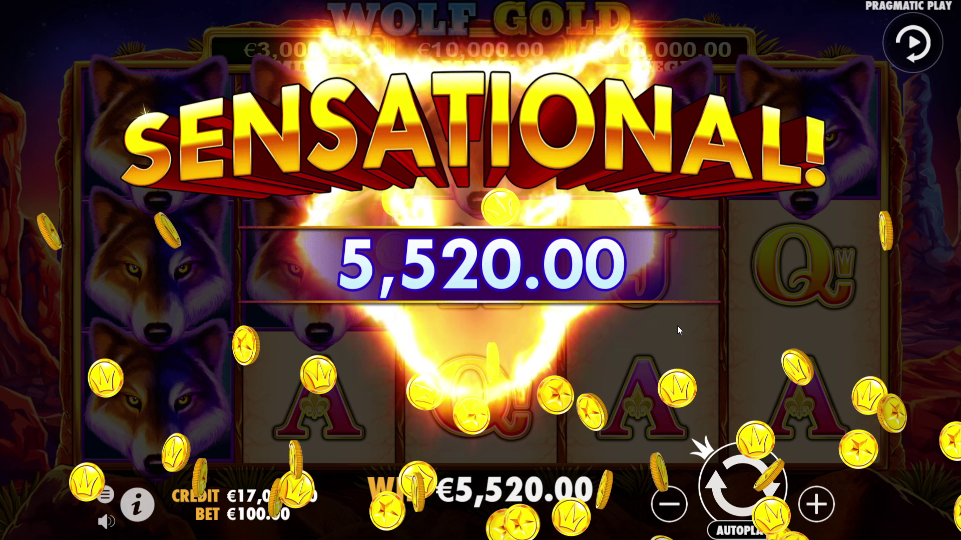 Wolf Gold - Big win 3
