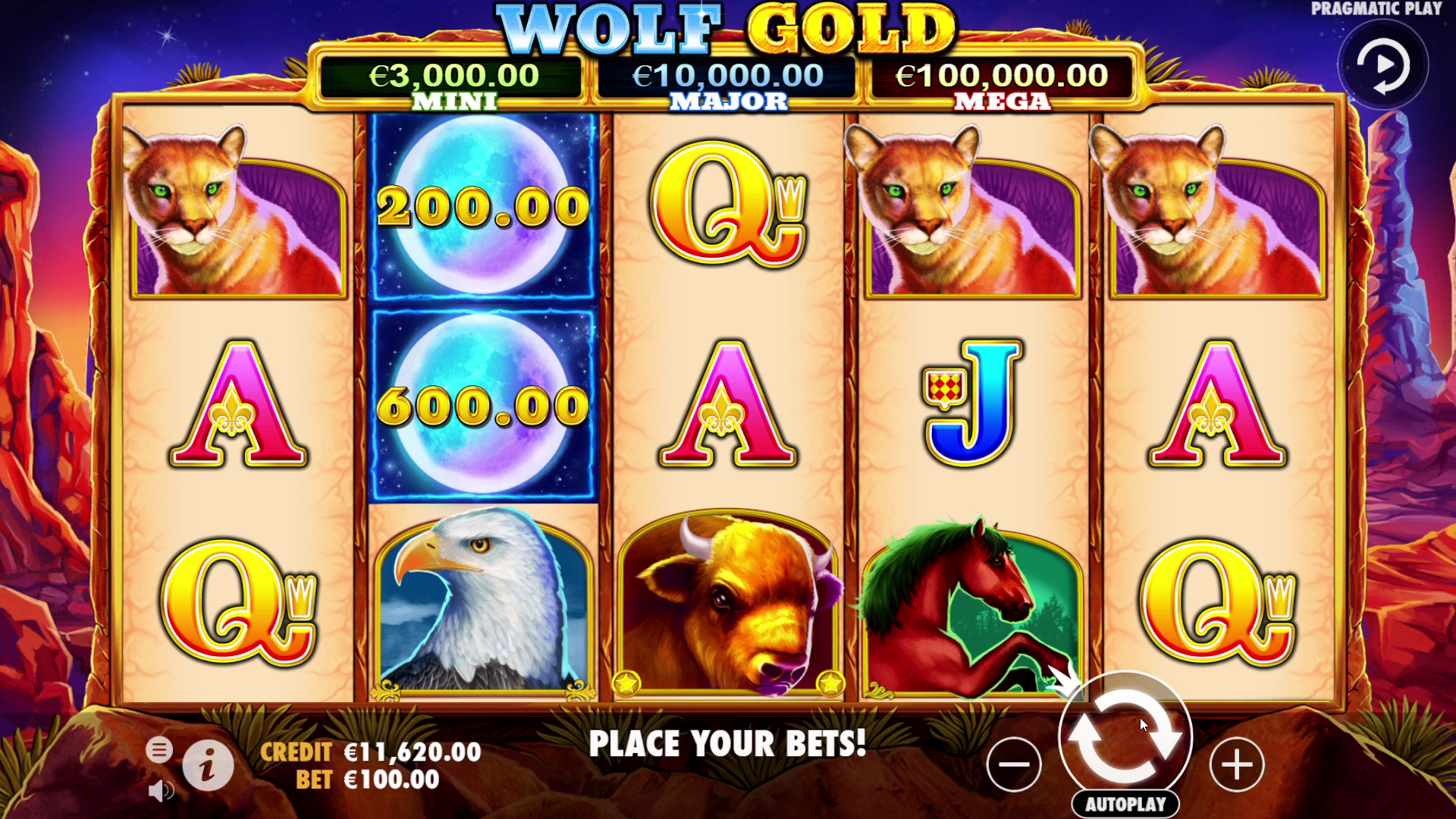 Wolf Gold - Base game 14
