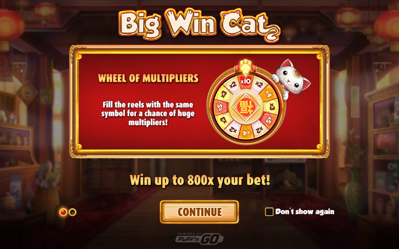 Big Win Cat game lobby / feature intro